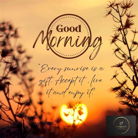 image of good morning|More.